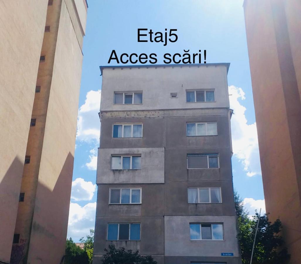 Appartamento Zizi'S House Garii Braşov Esterno foto